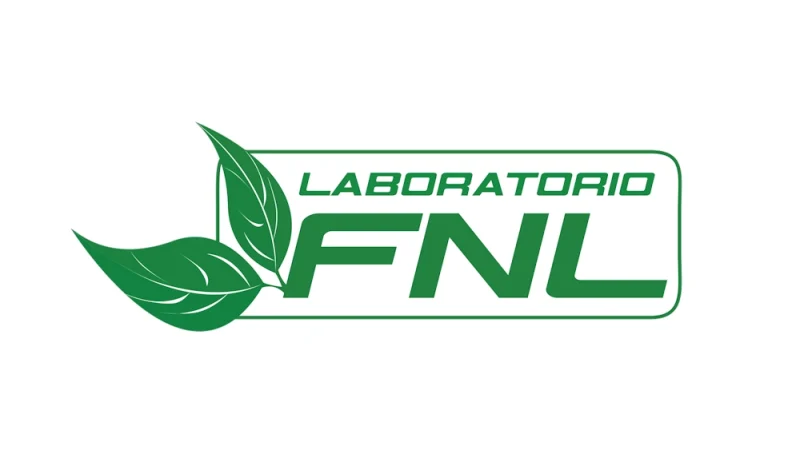 lab_fnl_r